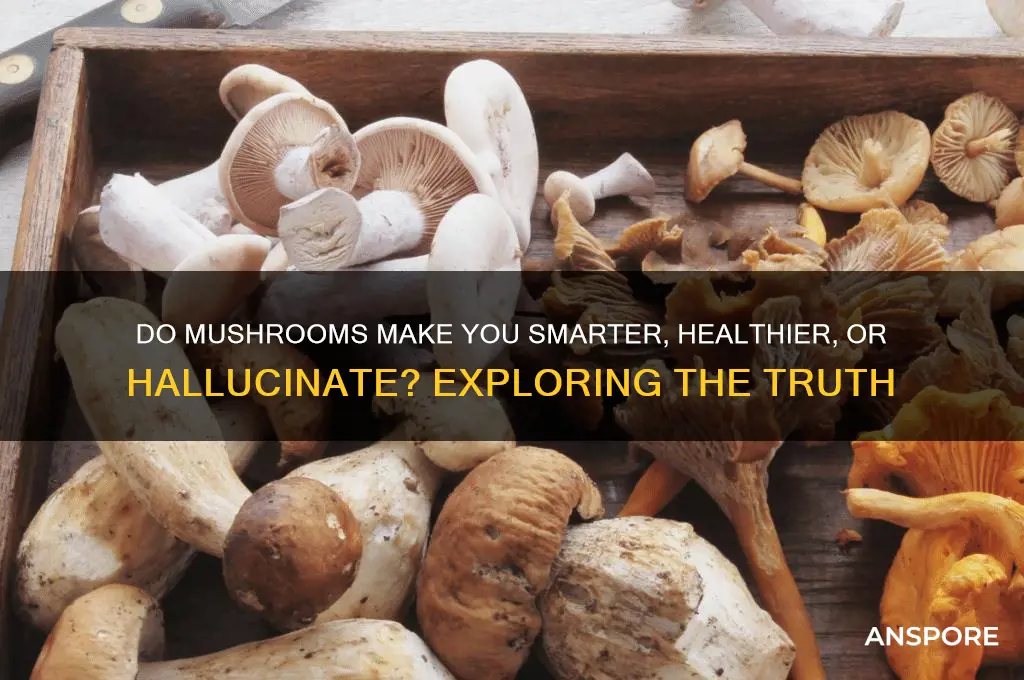 do mushrooms make you