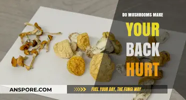 Mushrooms and Back Pain: Unraveling the Surprising Connection