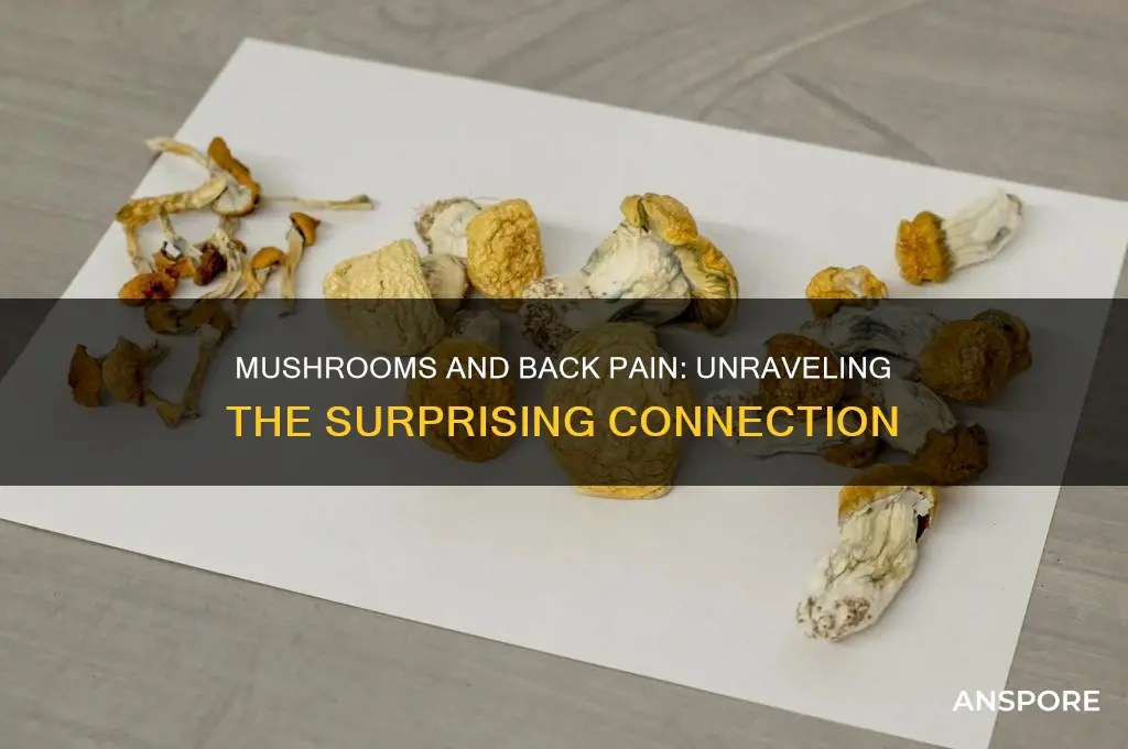 do mushrooms make your back hurt
