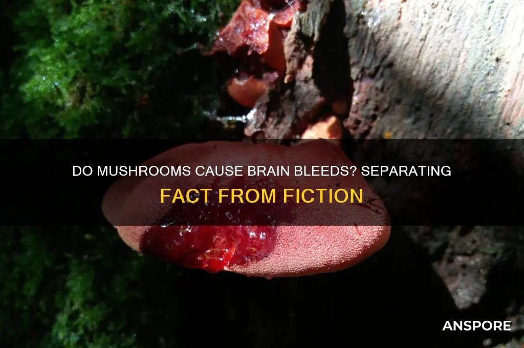 do mushrooms make your brain bleed