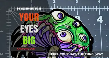 Do Mushrooms Enlarge Eyes? Separating Fact from Fiction in Beauty Trends