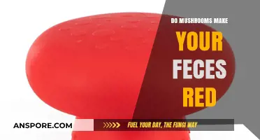 Can Mushrooms Turn Your Stool Red? Unraveling the Truth Behind the Myth