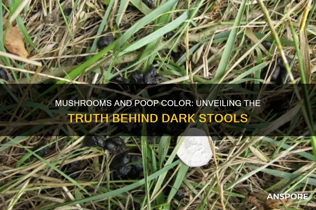 do mushrooms make your poop dark