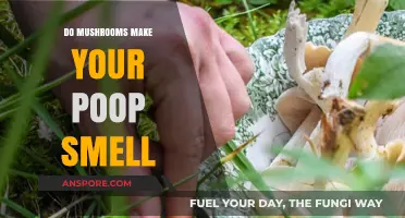 Do Mushrooms Affect Poop Odor? Uncovering the Smelly Truth