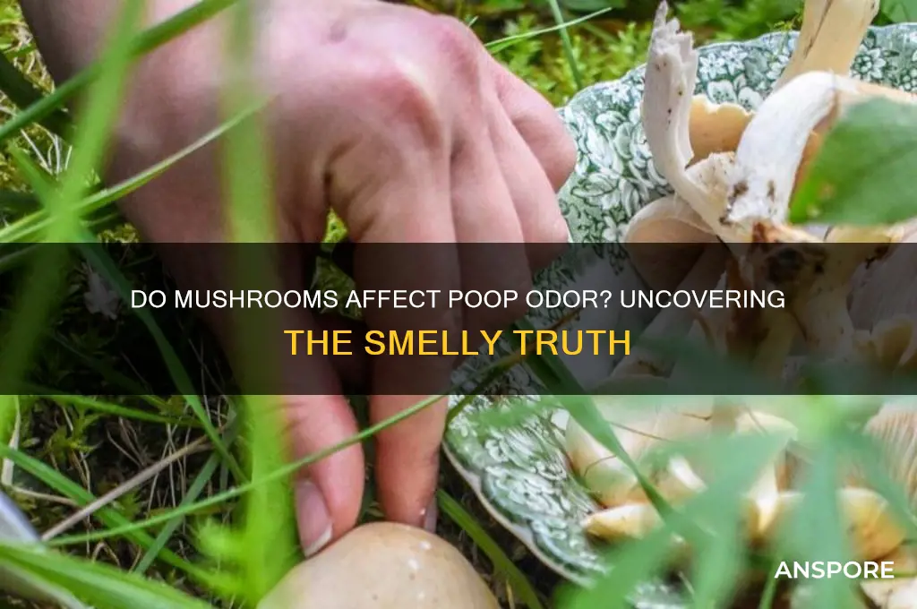 do mushrooms make your poop smell