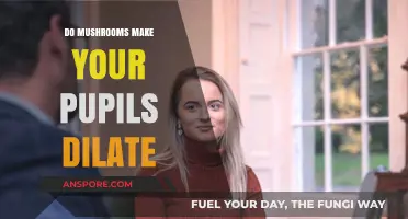 Do Mushrooms Dilate Pupils? Exploring the Effects of Psilocybin