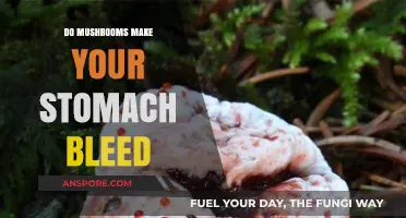 Do Mushrooms Cause Stomach Bleeding? Separating Fact from Fiction