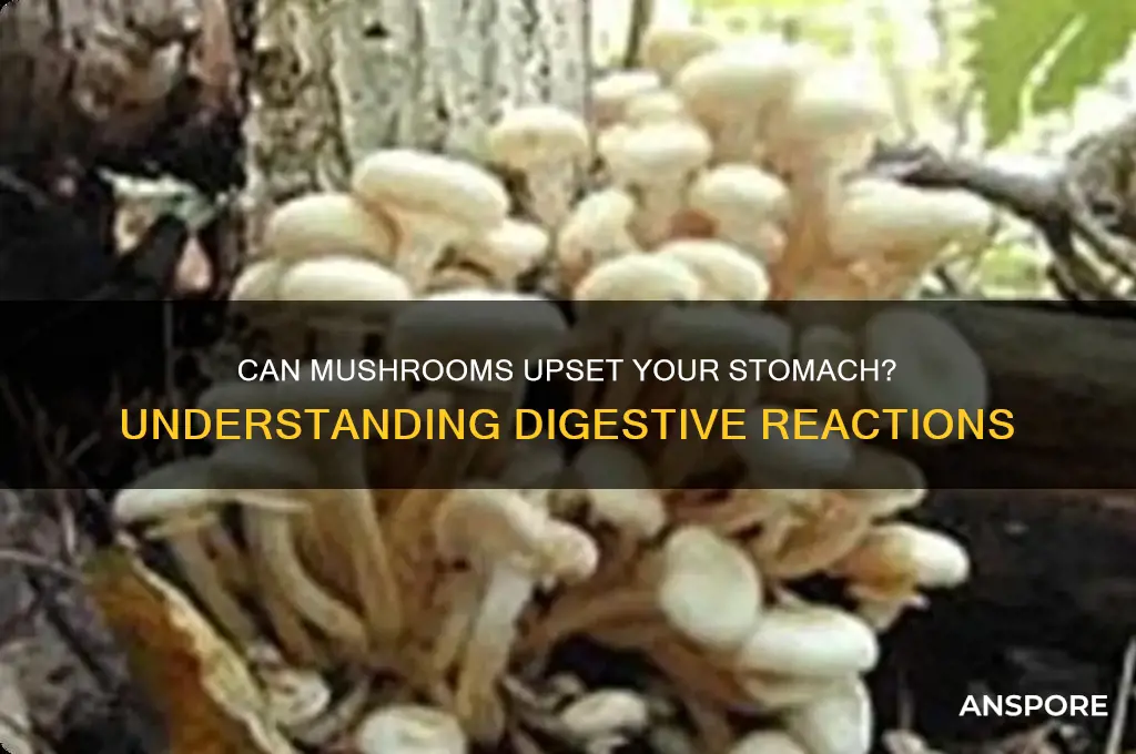do mushrooms make your stomach upset