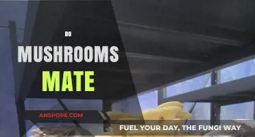 How Do Mushrooms Mate and Reproduce?