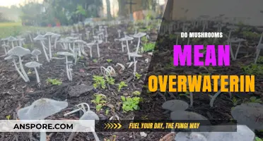 Mushroom Growth: Overwatering or Not?