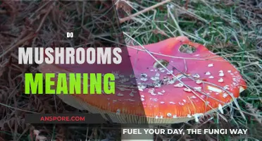 Mushrooms: A Meaningful Journey to the Unknown