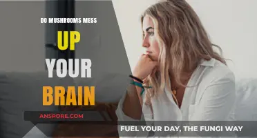 Do Mushrooms Harm Your Brain? Separating Facts from Fiction