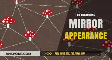 Mushrooms: Nature's Mirroring Illusionists