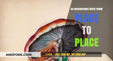 Do Mushrooms Wander? Exploring Their Surprising Movement Abilities