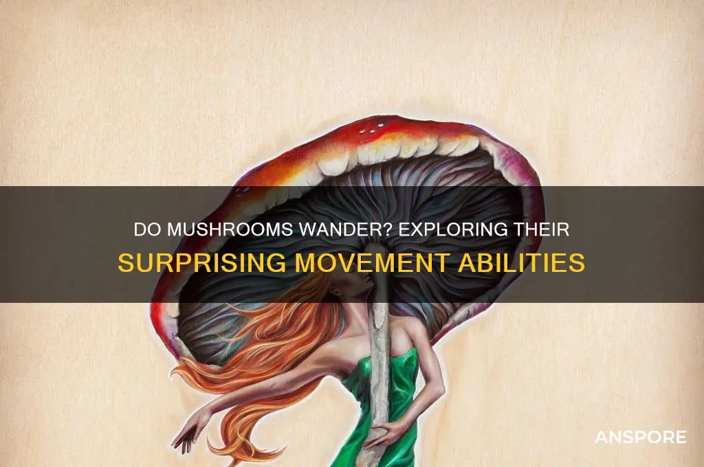 do mushrooms move from place to place