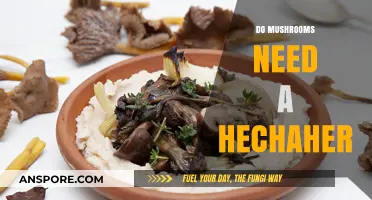 Kosher Diet: Mushrooms and the Hechsher Mystery