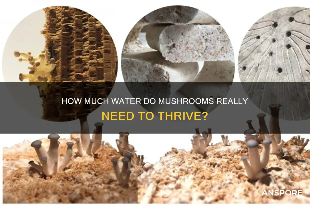 do mushrooms need a lot of water to grow