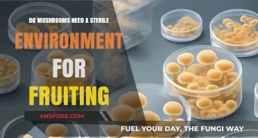 Mushroom Fruiting: Sterile Environment Requirement or Myth?