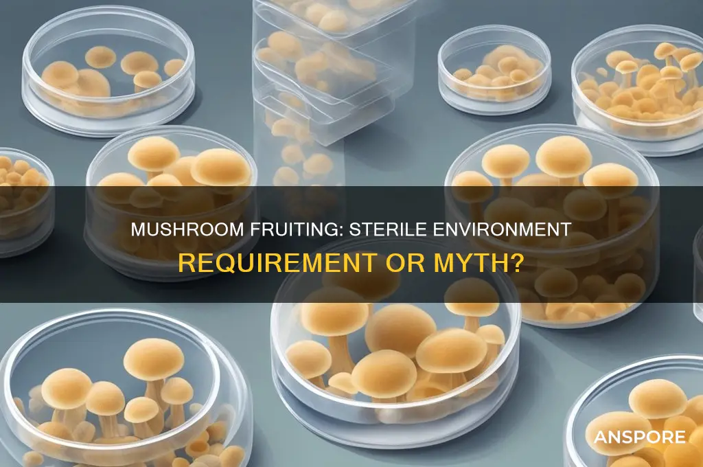 do mushrooms need a sterile environment for fruiting