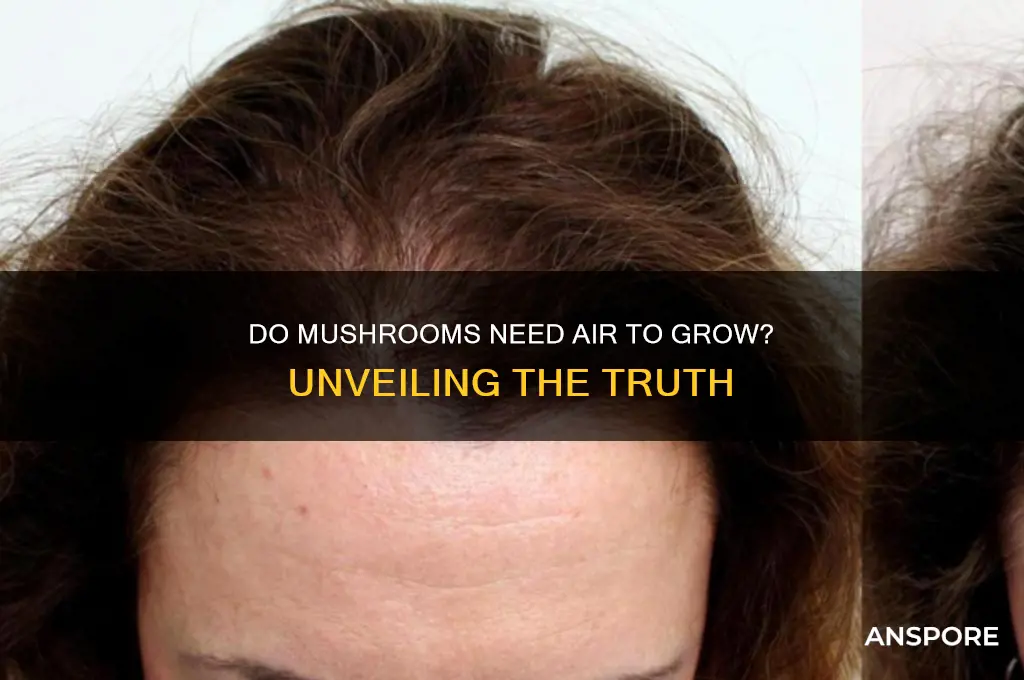 do mushrooms need air to grow