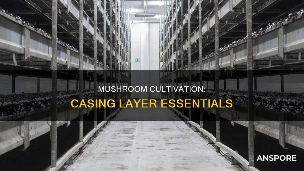 do mushrooms need casing