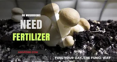 Mushroom Fertilizer: What's the Deal?