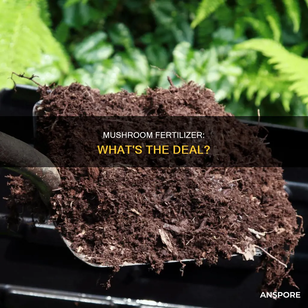 do mushrooms need fertilizer