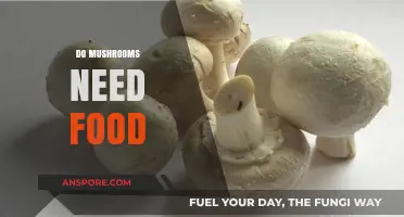 Mushroom Nutrition: What Do Mushrooms Eat?