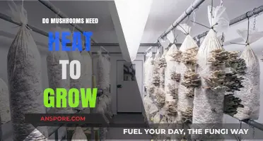 Do Mushrooms Need Heat to Grow? Unveiling Optimal Growing Conditions