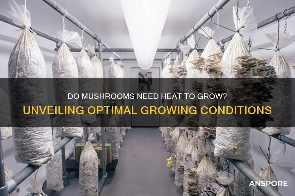 do mushrooms need heat to grow