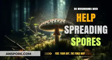 Can Mushrooms Spread Spores Alone? Exploring Nature's Assistance
