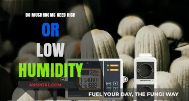 Optimal Mushroom Growth: High vs. Low Humidity Explained