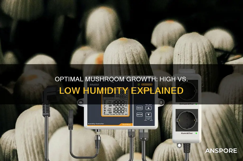 do mushrooms need high or low humidity