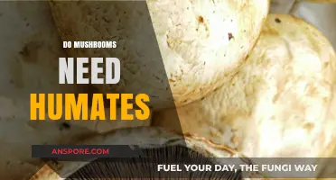 Mushroom Magic: Unlocking Growth with Humates