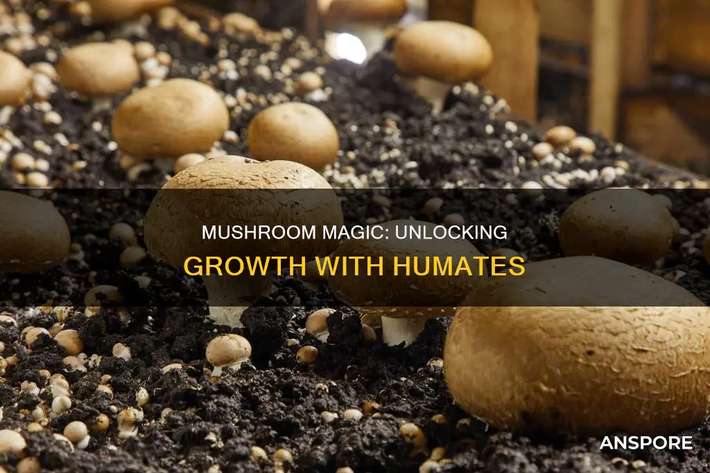 do mushrooms need humates