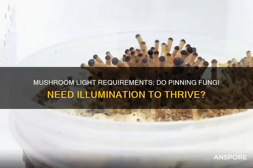 do mushrooms need light once pinning