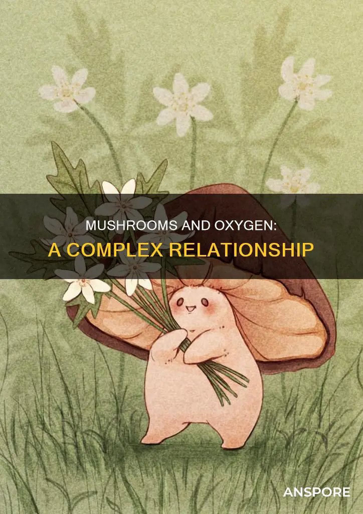 do mushrooms need oxegyn