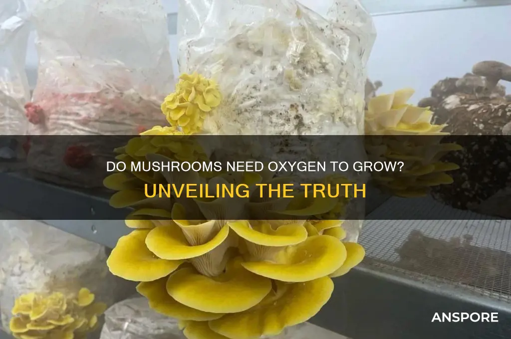 do mushrooms need oxygen to grow