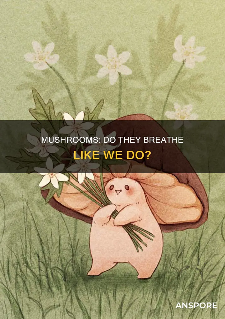 do mushrooms need oxygen