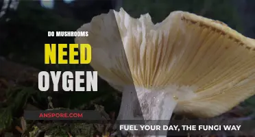 Mushroom's Breath: Oxygen's Role in Growth