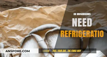 Mushroom Storage: Fridge or No Fridge?