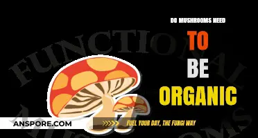 Organic Mushrooms: Are They Necessary for Health and Flavor?