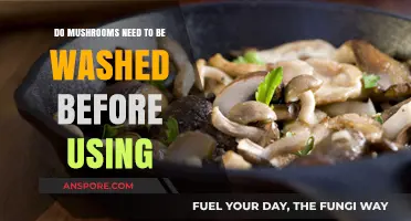 Should You Wash Mushrooms? Essential Tips Before Cooking with Fungi