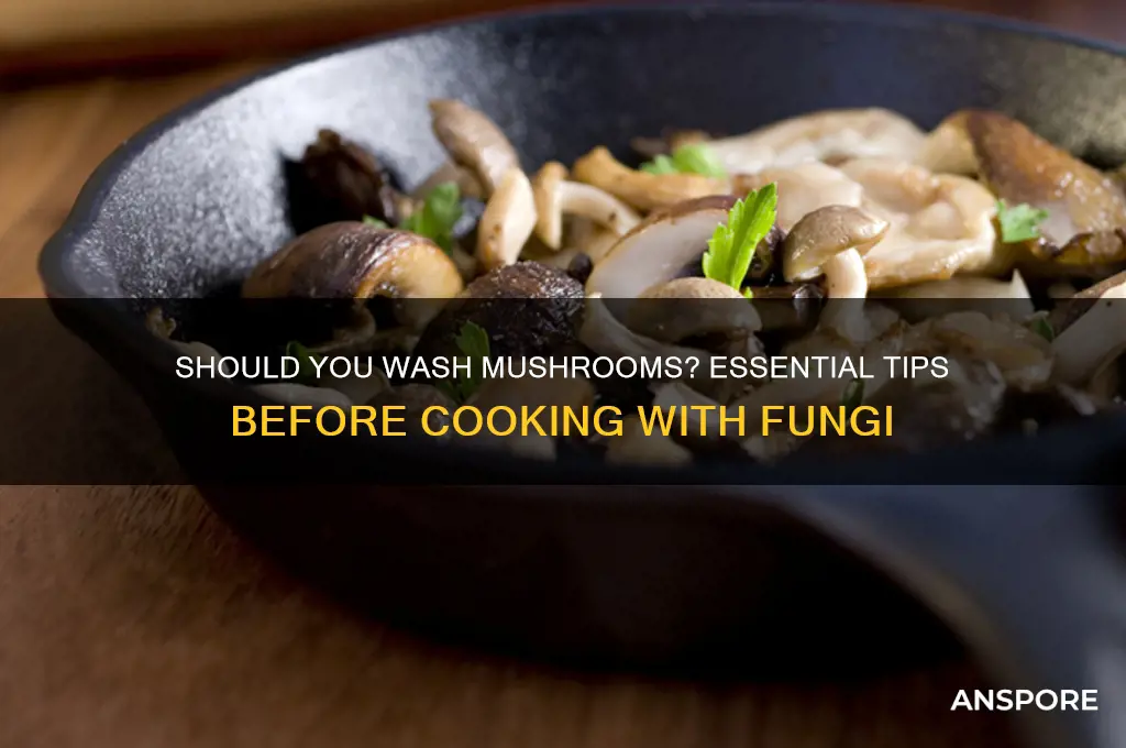 do mushrooms need to be washed before using