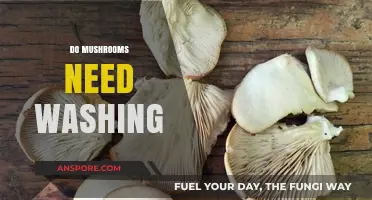 Washing Mushrooms: To Wash or Not to Wash?