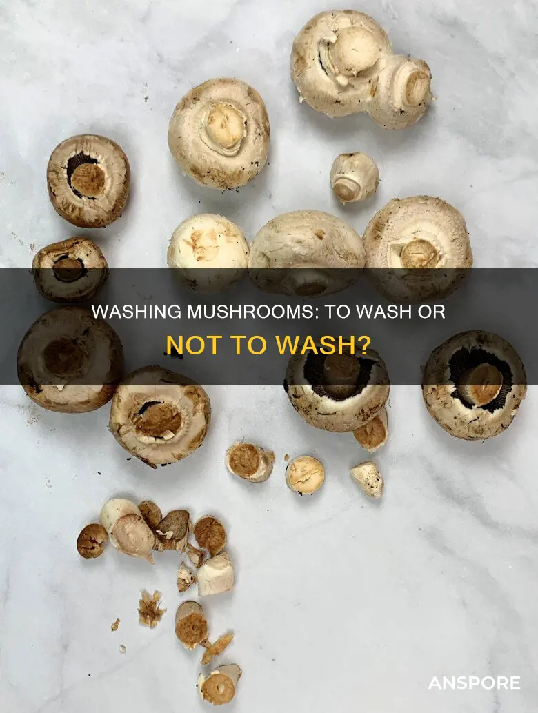 do mushrooms need washing