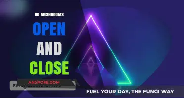 Mushrooms: Unveiling the Secrets of Their Movements