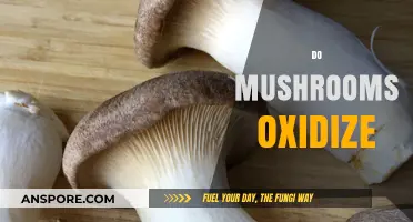 Mushrooms and Oxidation: What's the Deal?