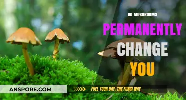 Mushrooms' Permanent Impact: Altering Your Mind and Body