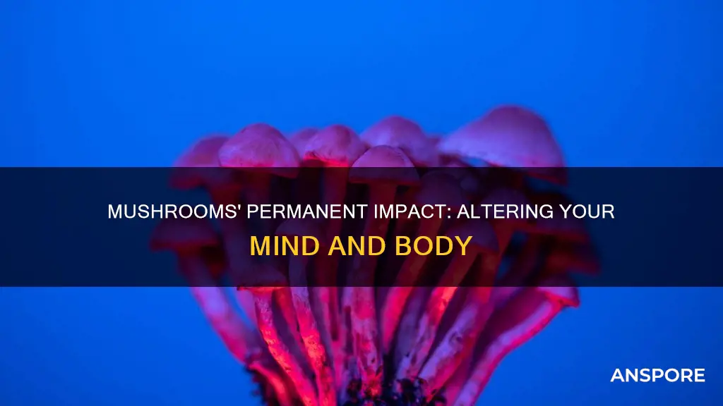 do mushrooms permanently change you